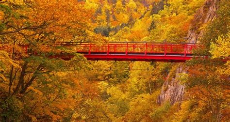 2018 Edition 3 Must Visit Spots In Hokkaido For Fall Foliage In