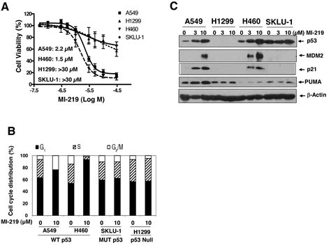 Efficacy Of Mdm2 Inhibitor Mi 219 Against Lung Cancer Cells Alone Or In