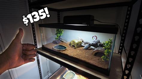 Create The Ultimate Gallon Leopard Gecko Setup Everything You Need