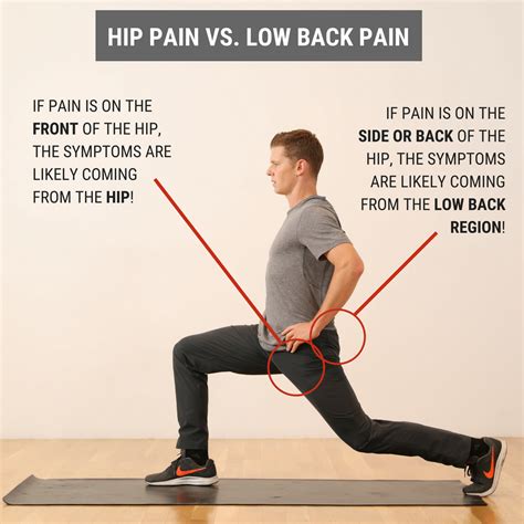 Muscles Of The Low Back And Hip Whats Causing My Lower Back And Hip