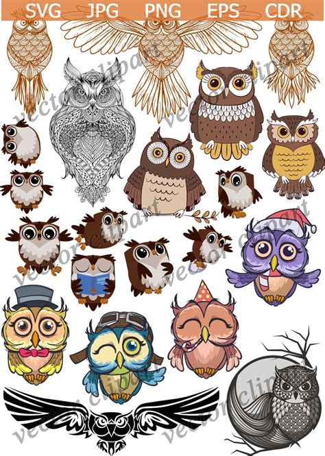 Owl Svg Owl Clipart Owl Svg Files Owl Vector Cut File Etsy