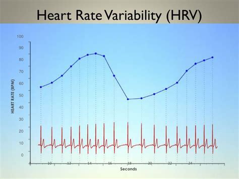 Hrv Heart Rate Variability Chart
