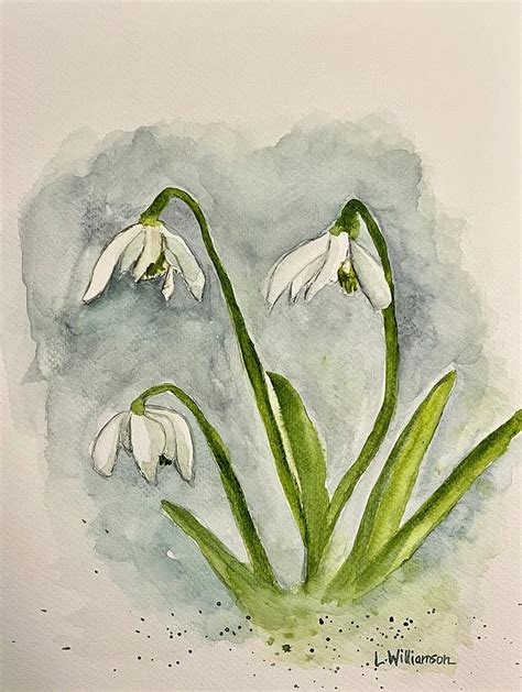 Snowdrop Flowers Painting By Lyn Williamson Fine Art America
