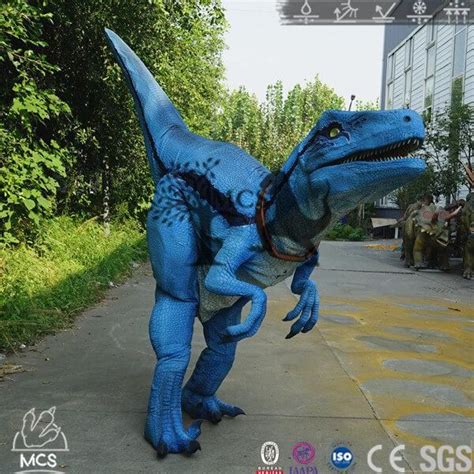 Best Party Rental Raptor Blue Costume Dcrp709 T Rex Costume Dragon