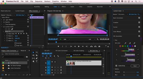 Adobe premiere elements latest version: 229: Adobe Premiere Pro CC - The Lumetri Color Panel ...