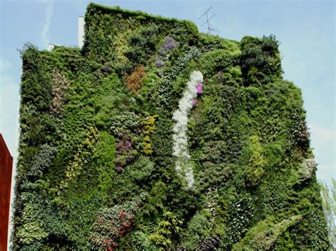Odu Green Roof Vertical Gardens Vertical Walls