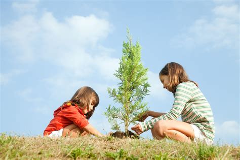 Make Every Day Earth Day: 10 Eco-Friendly Products for Parents and Kids ...
