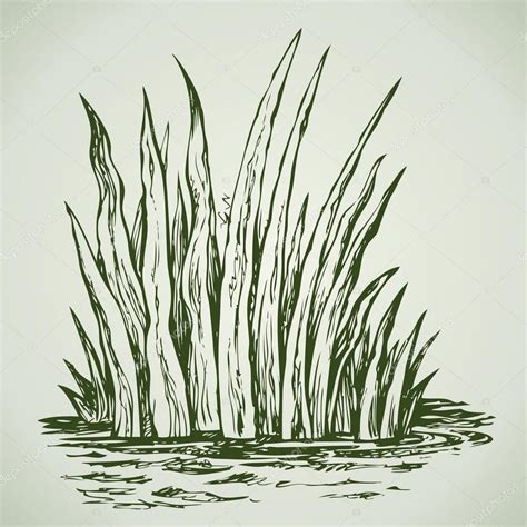 Green Grass Drawing At Getdrawings Free Download