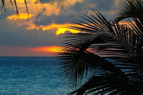 Aruba Sunset Photograph By Edward Diller