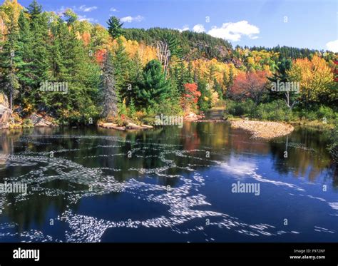 Onaping River In Autumn City Of Greater Sudbury Ontario Canada Stock