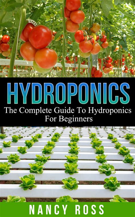 Babelcube Hydroponics The Complete Guide To Hydroponics For Beginners