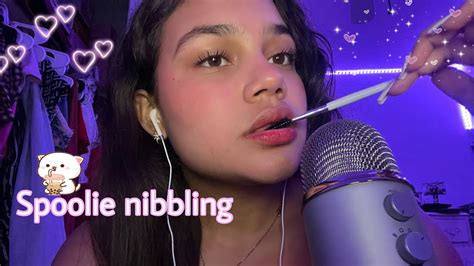 Asmr Spoolie Nibbling And Mouth Sounds Youtube