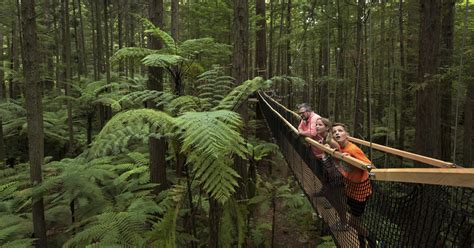 Top Things To Do In Rotorua Pure New Zealand
