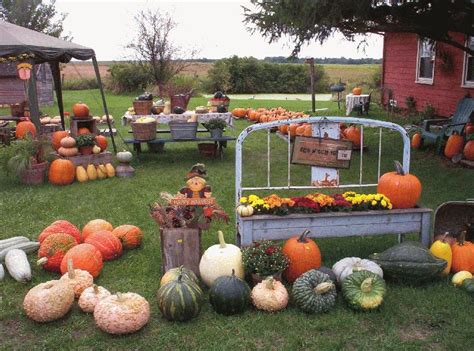 Send this business listing as a text message to a mobile phone. Pumpkin Patch in Spencer, Iowa ? Hawk Valley Garden ...