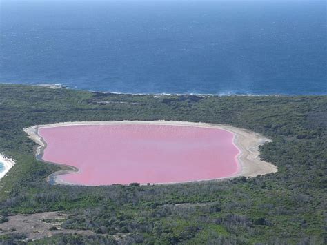 Pink Lakes Are Often Salty And Always Cool And They Can Be Found In