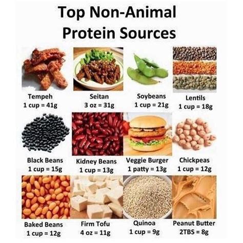 List of protein in foods. KatiaHealthGuru #NutritionGeek on Instagram: "Health Guru ...