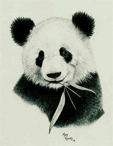 Pin By Yessica Martinez On Tattoos Panda Drawing Panda Sketch Panda Art