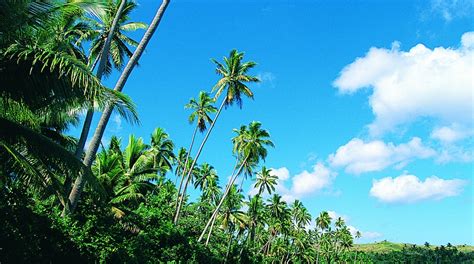 Visit Kadavu Island 2021 Travel Guide For Kadavu Island Eastern