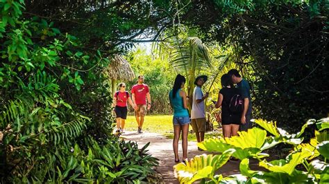 Everglades Safari Park 🐊 2023 Coupons And Reviews