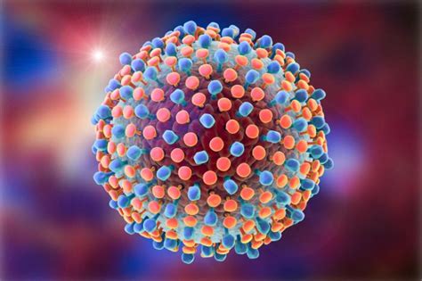 Hepatitis b ist eine leberentzündung, die durch das virus hbv verursacht wird. Parkinson's risk may be higher with hepatitis virus ...