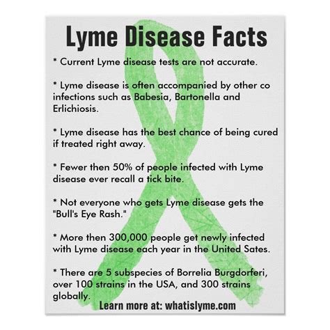 Lyme Disease Facts Educational Poster In 2020 Lyme