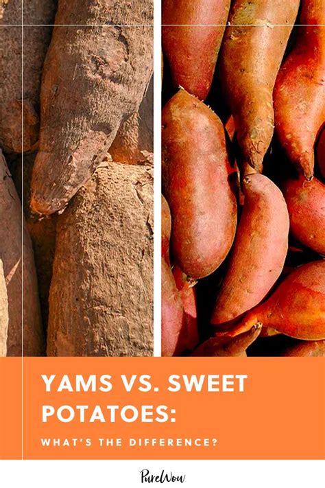The Distinction Between Yams And Sweet Potatoes