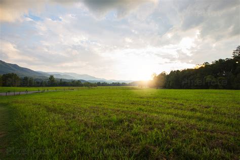 Grass Field 546197 Grass Field Se