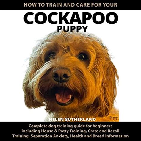 Are Cockapoo Puppies Easy To Train