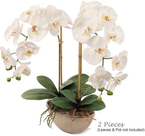 Real Touch Silk Phalaenopsis Orchid Pack Of 2 34 9 Flowers 3 Buds