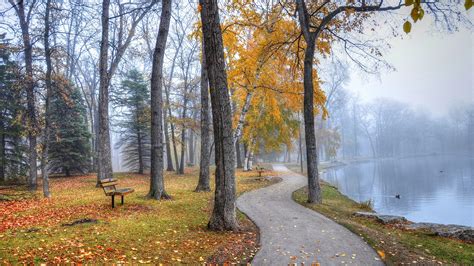 Park Landscape Walkway Trees Benches Lake Autumn Wallpaper