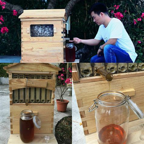 7 Pcs Auto Move Honey Hive Beehive Framesbeekeeping Brood Cedarwood
