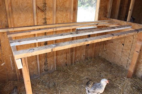 Perches Extend Full Length Of Coop Backyard Chickens Coop