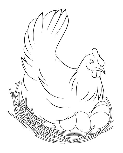 Chicken Coloring Pages To Print For Kids And Adults 101