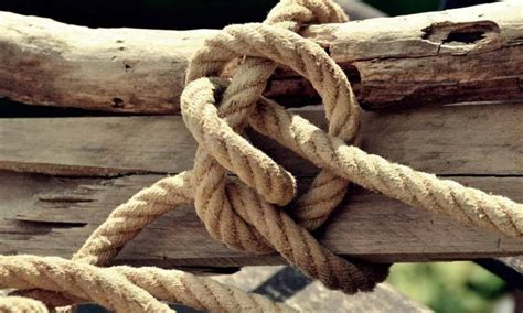 Video Timber Hitch How To A Tie Timber Hitch Knot Instructions Uses