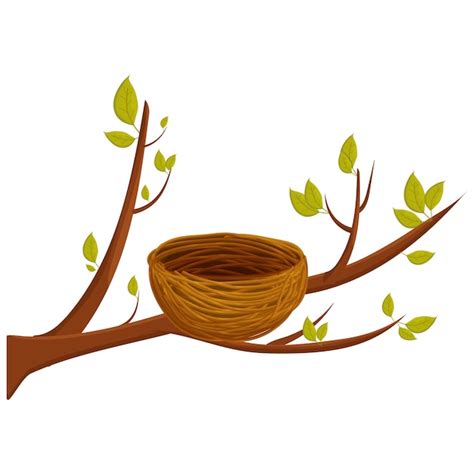 Premium Vector Empty Bird Nest From Twigs On Tree Branch With Leaves