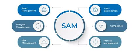 Reduce Your Costs With Software Asset Management Sam