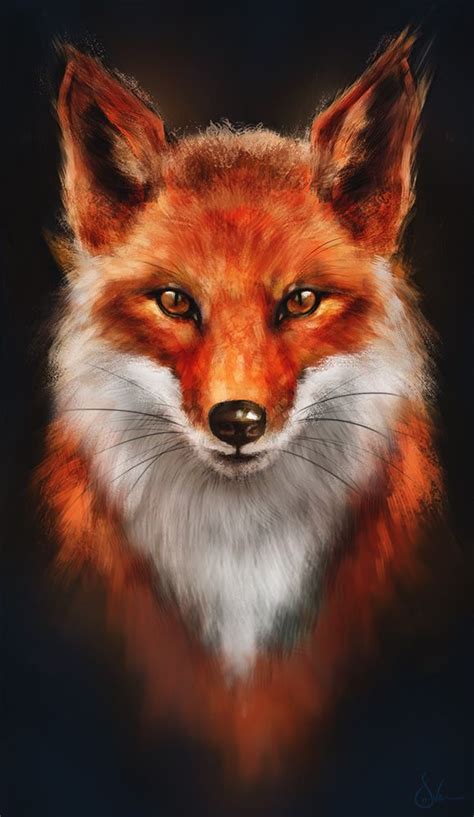 Beautiful Fox Drawing Fox Painting Fox Drawing Fox Art