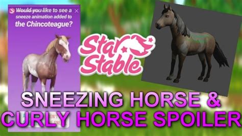 Sneezing Horse And Curly Horse Spoilers Star Stable Online Youtube
