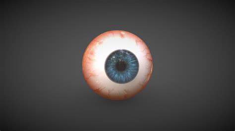 Human Eye Download Free 3d Model By Deguider B68ae82 Sketchfab