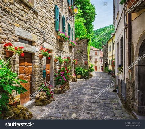 Typical Italian Street Small Provincial Town Stock Photo 203608687