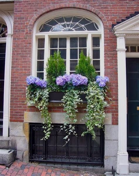 85 Awesome Shade Plants For Windows Boxes Ideas Window Box Flowers