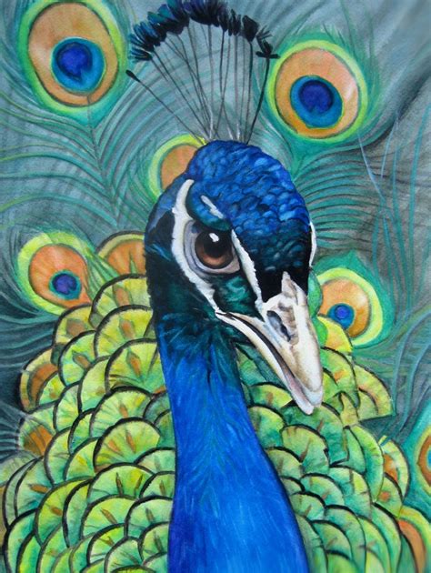 Judy Nunno Watercolor Proud As A Peacock Peacock Painting