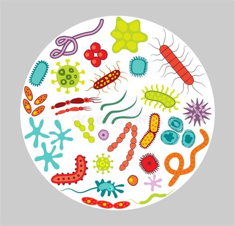 Cartoon Bacterias Microbiological Virus And Contagion Infection
