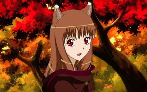 Anime Wolf Girl Wallpaper Wallpapersafari