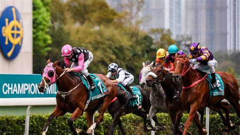 Did you scroll all this way to get facts about two guys one horse? Beauty Generation to Defend His Hong Kong Title - The New ...