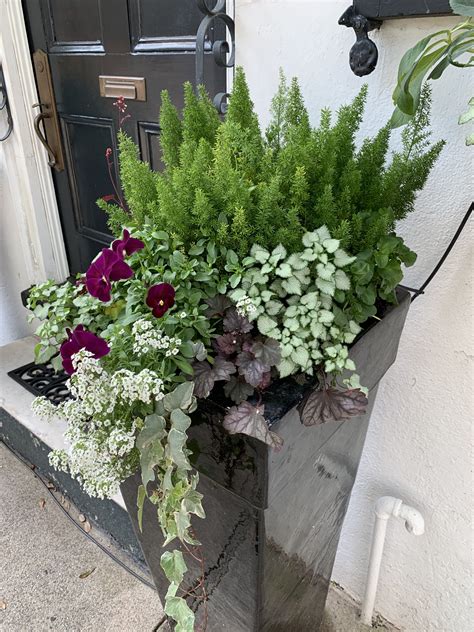 You'd think actually building the planter box is the hardest part of this sort of project but choosing what plants to fill it however, shade is not easy to deal with either. Pin by Katriina Peltomaa on Partial shade plants; in 2020 ...