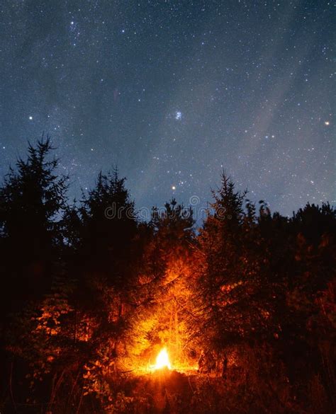 Camp Fire In The Forest With Long Exposure Night Sky Alone In The