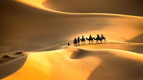 Désert Du Sahara Maroc 2021 Les 10 Meilleures Visites Et Activités