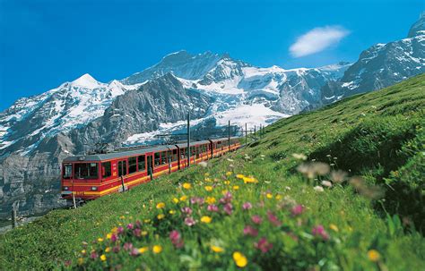 Jungfrau Passes Acp Rail