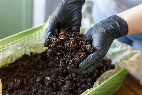 The Beginners Guide To Home Composting Insidehook